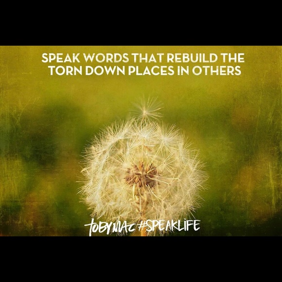 Meet your Posher, Megan - Picture 2 of 2